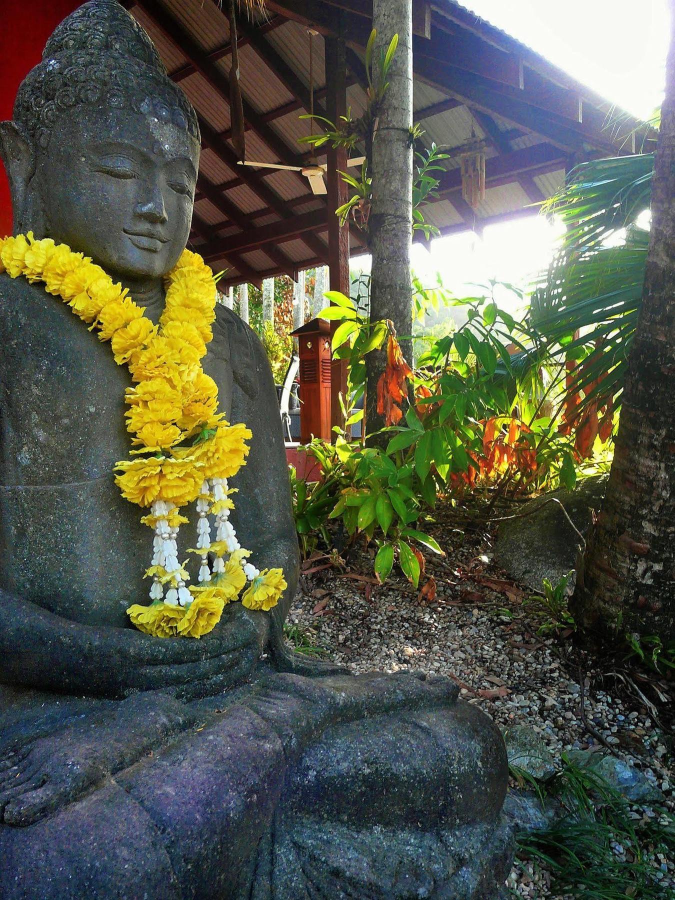 Mai Tai Resort Cassowary Екстериор снимка
